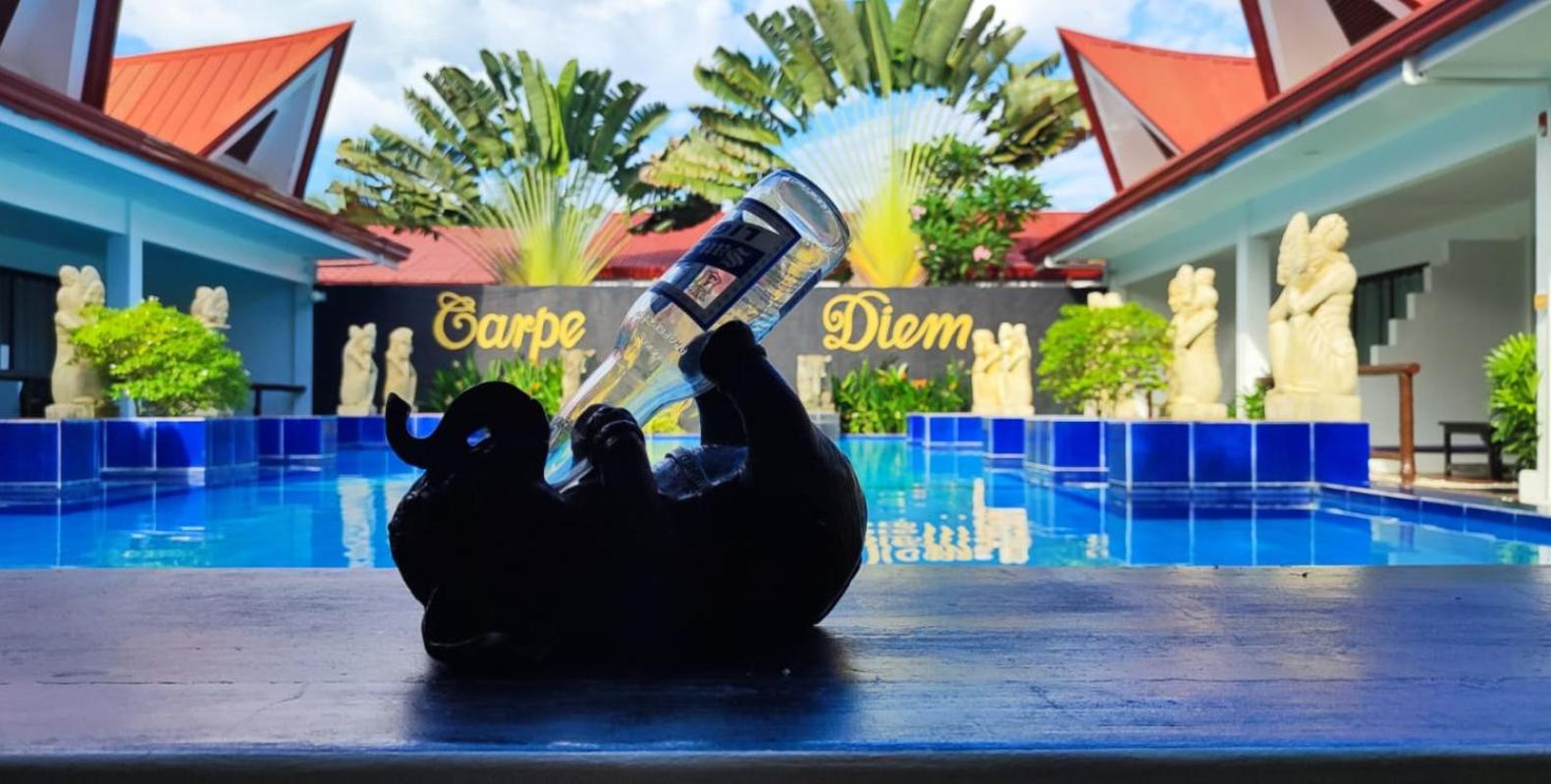 Carpe Diem & Puerto Princesa